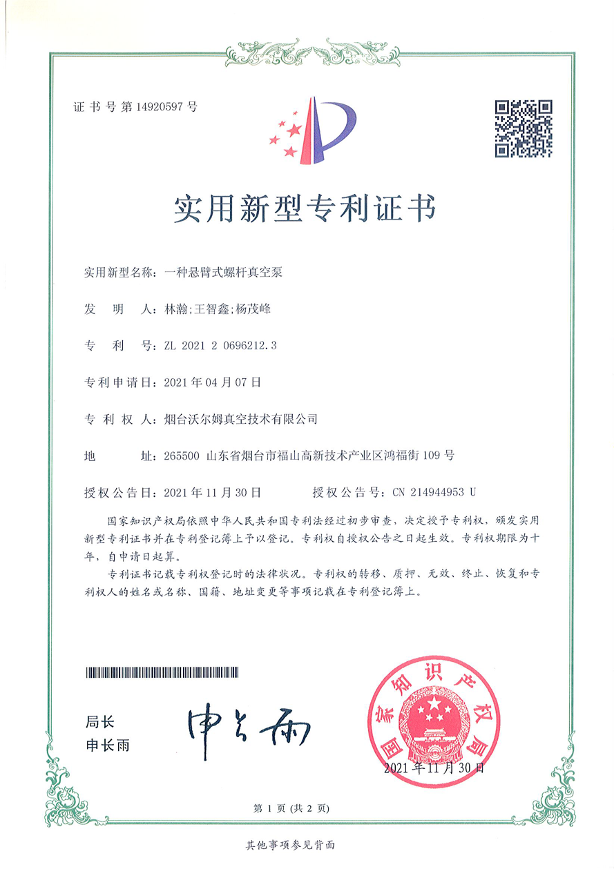 一種懸臂式螺桿真空泵